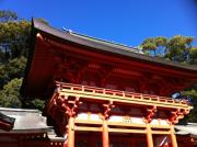 大宮　氷川神社へ